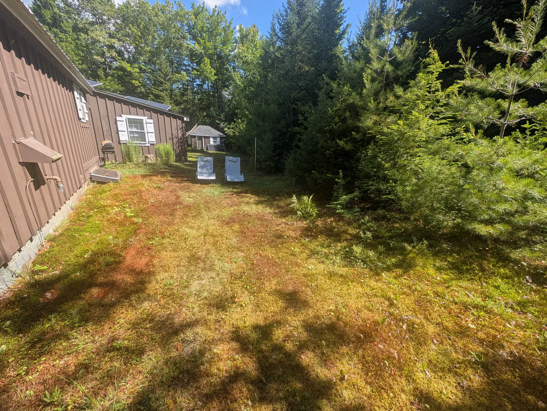 Wooded cabin grounds with solar panels and two outdoor lounge chairs